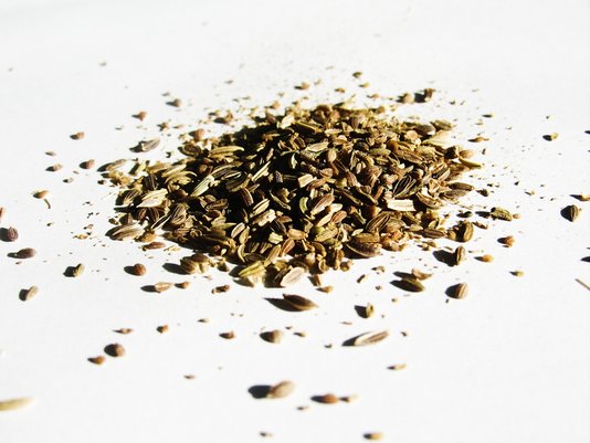 Chá Laví Tea Encanto 10 sachês - Misto de Erva-doce, Funcho e Endro