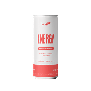 Energy 269ml Lata- 06und